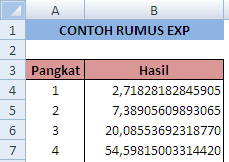 Fungsi dan Cara Menggunakan Rumus EXP Dalam Microsoft Excel